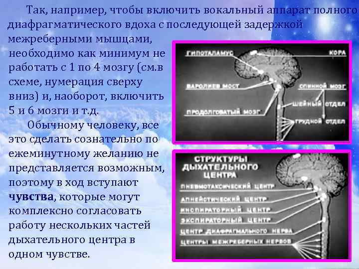  Так, например, чтобы включить вокальный аппарат полного диафрагматического вдоха с последующей задержкой межреберными