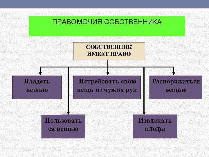 ПРАВОМОЧИЯ СОБСТВЕННИКА СОБСТВЕННИК ИМЕЕТ ПРАВО Владеть вещью Истребовать свою вещь из чужих рук Пользовать