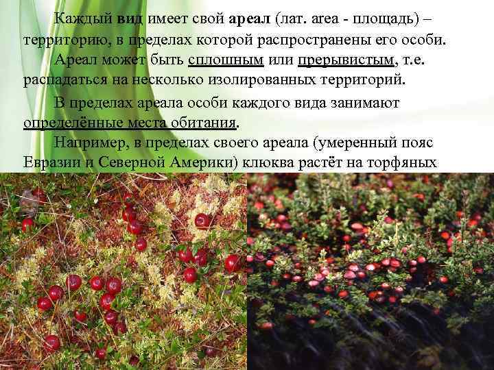 Каждый вид имеет. Сплошной ареал характеристика. Растения сплошного ареала. Каждый вид имеет свой ареал. Характеристика площади сплошного ареала.