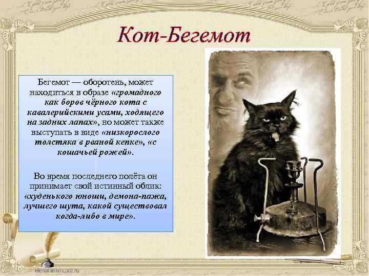 Кот-Бегемот — оборотень, может находиться в образе «громадного как боров чёрного кота с кавалерийскими