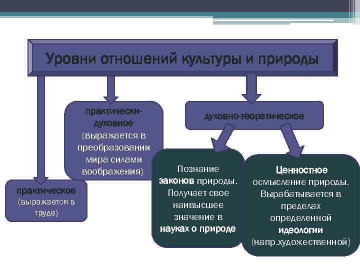 Развитие общества связано с природой. Взаимосвязь культуры и природы. Уровни отношений природы и культуры. Понятия природы и культуры. Взаимосвязь культуры с природой и обществом.