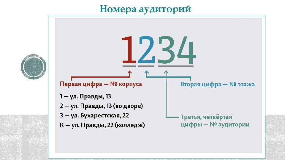 Номера аудиторий 