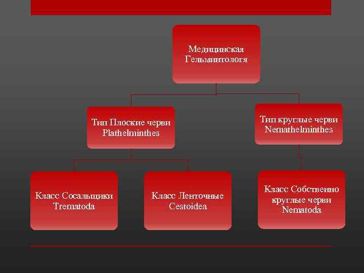 Медицинская Гельминтологя Тип Плоские черви Plathelminthes Класс Сосальщики Trematoda Класс Ленточные Cestoidea Тип круглые