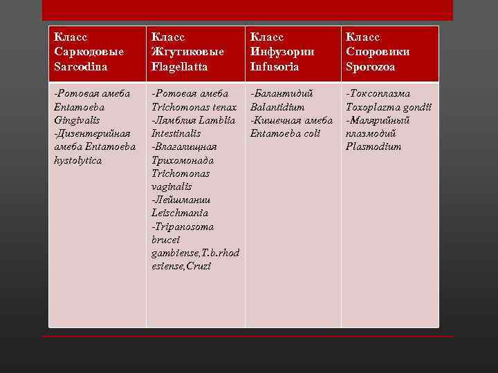 Класс Тип Простейшие Protozoa Жгутиковые Инфузории Класс Саркодовые Sarcodina -Ротовая амеба Entamoeba Gingivalis -Дизентерийная