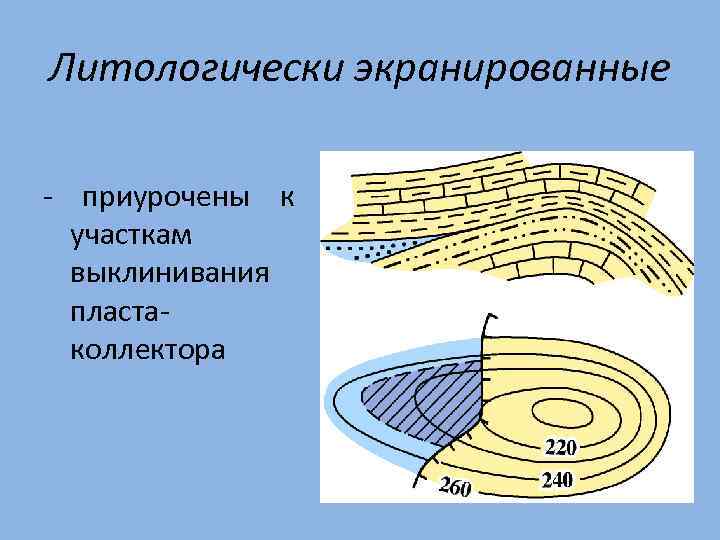Литологически экранированные - приурочены к участкам выклинивания пластаколлектора 