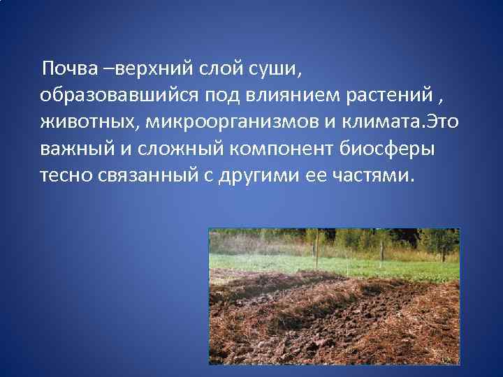  Почва –верхний слой суши, образовавшийся под влиянием растений , животных, микроорганизмов и климата.