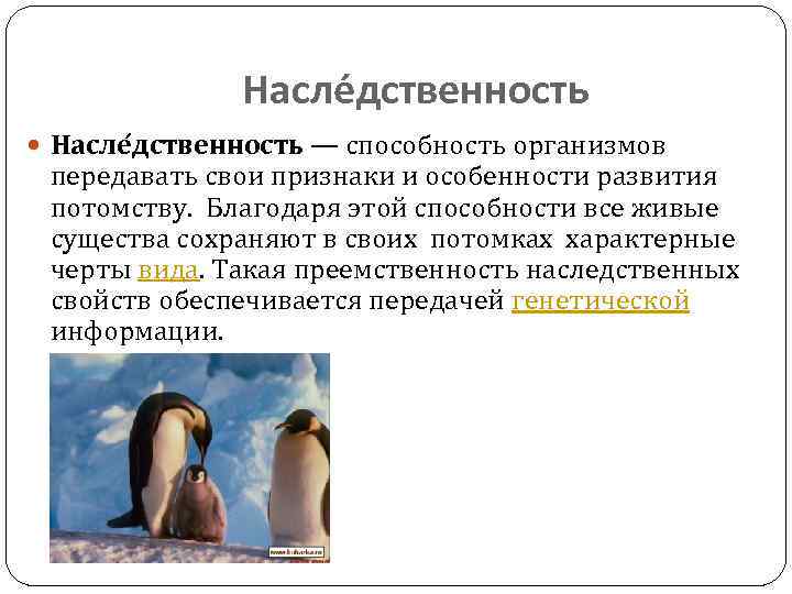 Насле дственность — способность организмов передавать свои признаки и особенности развития потомству. Благодаря этой