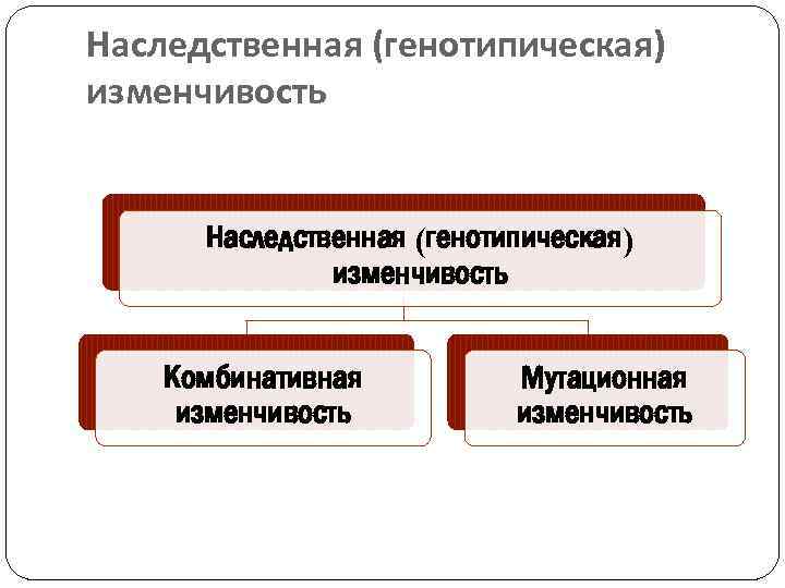 Наследственная (генотипическая) изменчивость Комбинативная изменчивость Мутационная изменчивость 