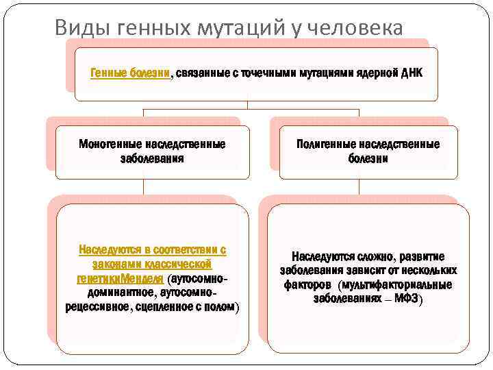 Виды генных мутаций у человека Генные болезни, связанные с точечными мутациями ядерной ДНК Моногенные