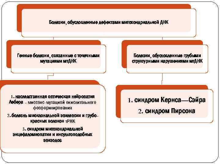 Болезни, обусловленные дефектами митохондриальной ДНК Генные болезни, связанные с точечными мутациями мт. ДНК 1.