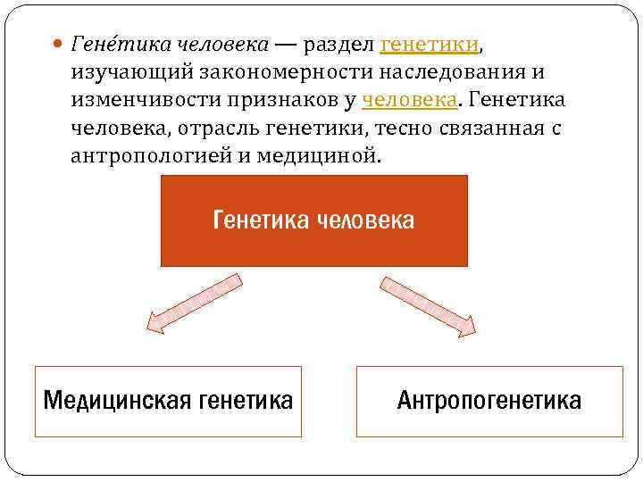  Гене тика человека — раздел генетики, изучающий закономерности наследования и изменчивости признаков у