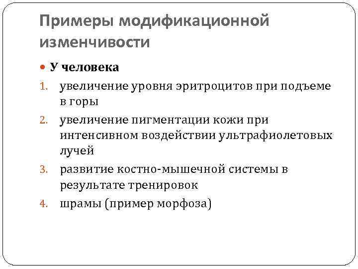 Примеры модификационной изменчивости У человека увеличение уровня эритроцитов при подъеме в горы 2. увеличение