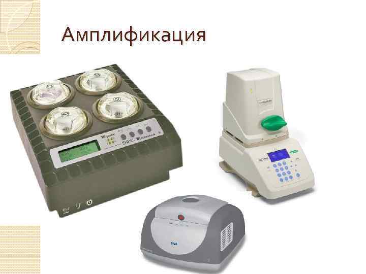 Амплификация 