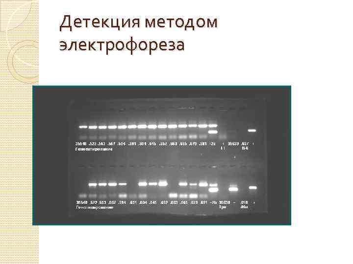 Детекция методом электрофореза 