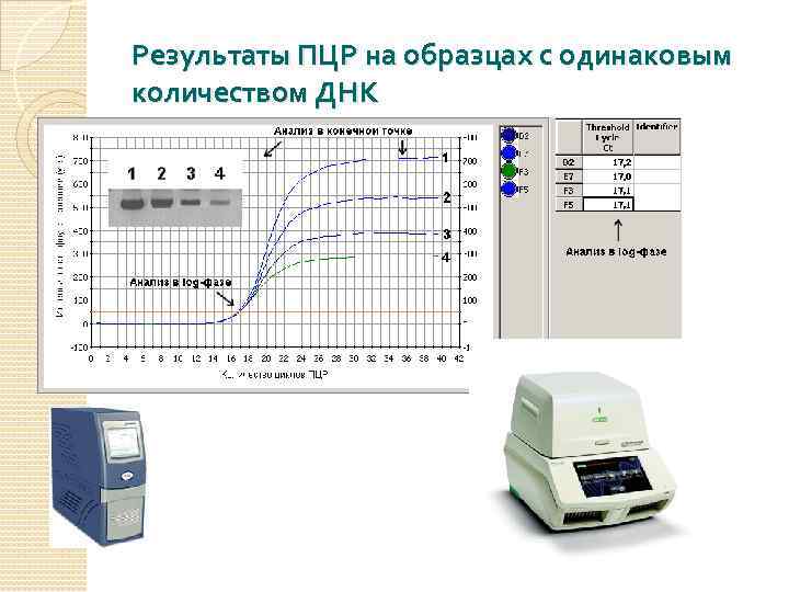 Результаты ПЦР на образцах с одинаковым количеством ДНК 