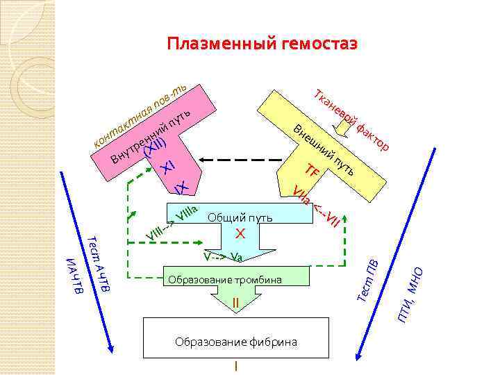Плазменный гемостаз Тк ан ев ой ф Вн ак еш то ни р й
