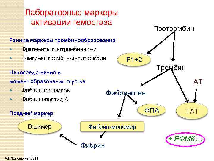 Лабораторные маркеры активации гемостаза Протромбин Ранние маркеры тромбинообразования Фрагменты протромбина 1+2 Комплекс тромбин-антитромбин Непосредственно