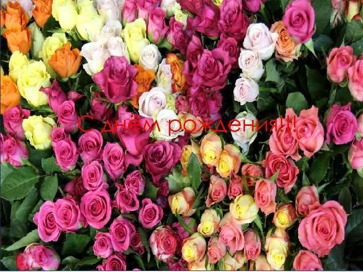 С днём рождения!!! 