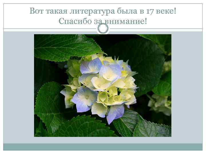 Вот такая литература была в 17 веке! Спасибо за внимание! 