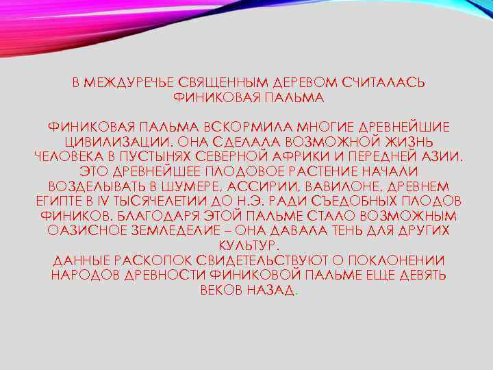 В МЕЖДУРЕЧЬЕ СВЯЩЕННЫМ ДЕРЕВОМ СЧИТАЛАСЬ ФИНИКОВАЯ ПАЛЬМА ВСКОРМИЛА МНОГИЕ ДРЕВНЕЙШИЕ ЦИВИЛИЗАЦИИ. ОНА СДЕЛАЛА ВОЗМОЖНОЙ