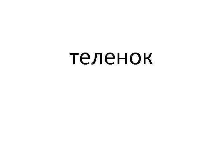 теленок 