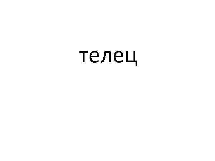 телец 