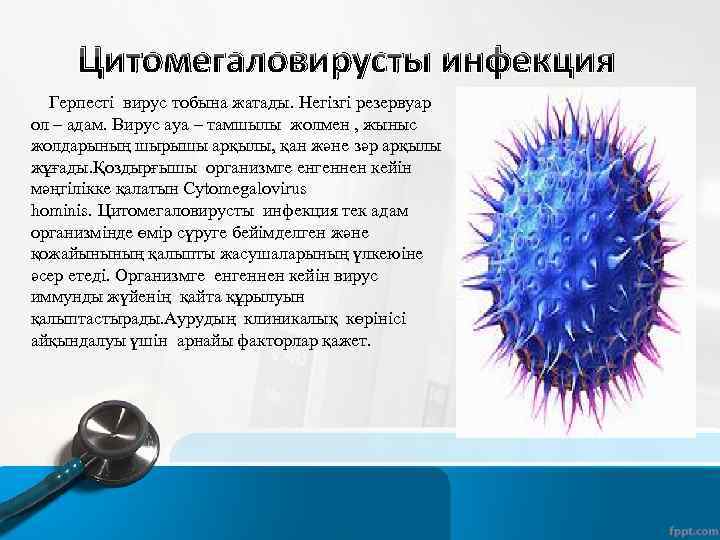 Цитомегаловирусты инфекция Герпесті вирус тобына жатады. Негізгі резервуар ол – адам. Вирус ауа –