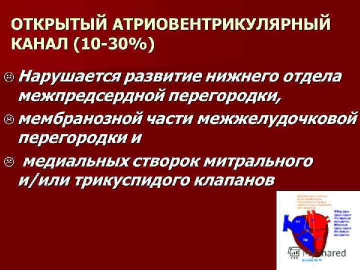 Pro. Power. Point. Ru 