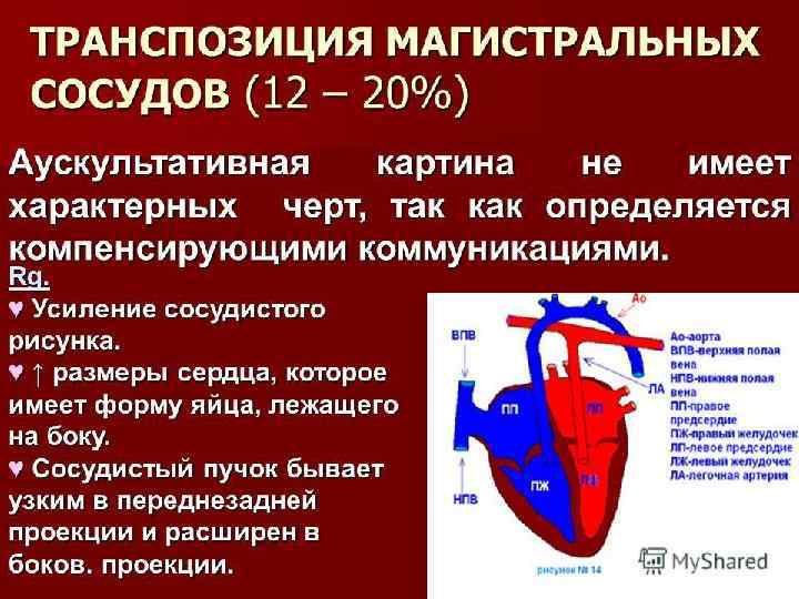 Pro. Power. Point. Ru 