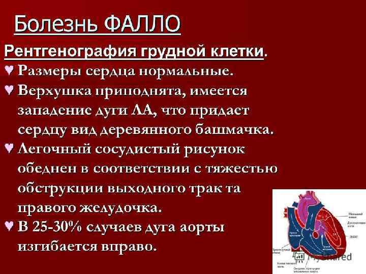 Pro. Power. Point. Ru 