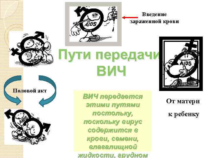 Введение зараженной крови Пути передачи ВИЧ Половой акт ВИЧ передается этими путями постольку, поскольку