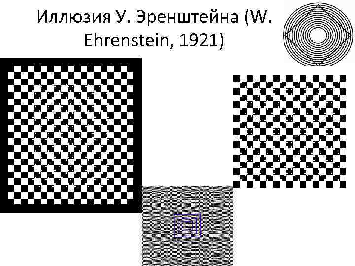 Иллюзия У. Эренштейна (W. Ehrenstein, 1921) 