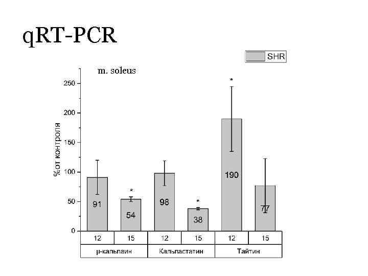 q. RT-PCR m. soleus 