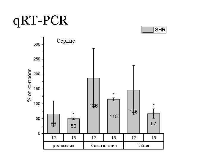 q. RT-PCR Сердце 