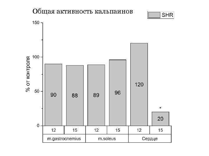 Общая активность кальпаинов 