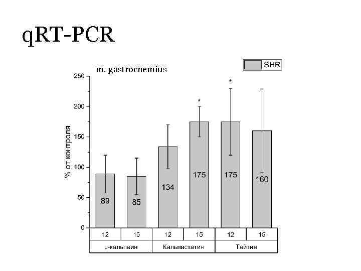 q. RT-PCR m. gastrocnemius 