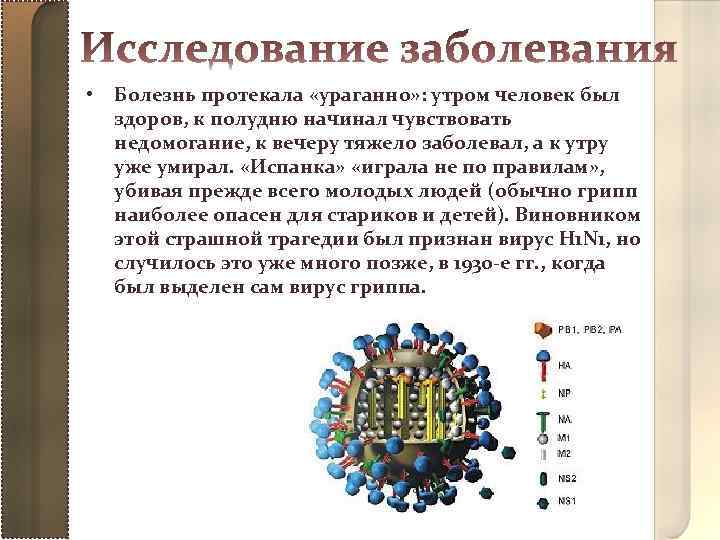 Как протекает заболевание. Испанка описание болезни.