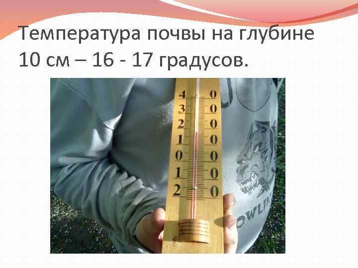 Температура почвы на глубине 10 см – 16 - 17 градусов. 