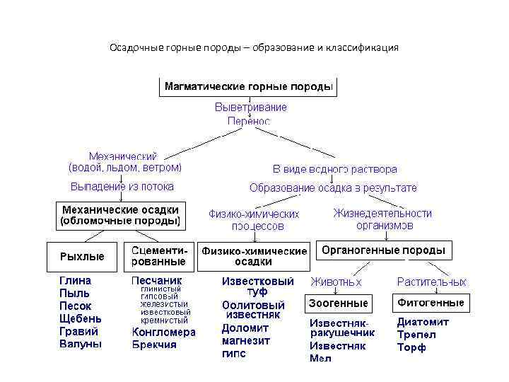 Осадочные горные породы – образование и классификация 