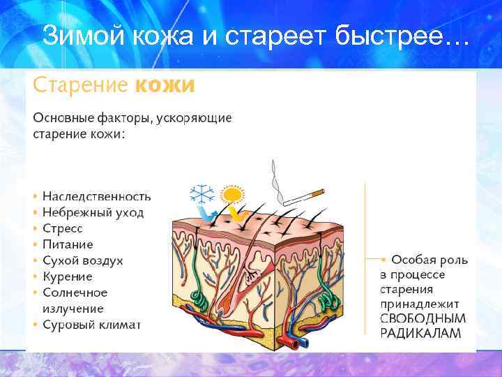 Зимой кожа и стареет быстрее… 