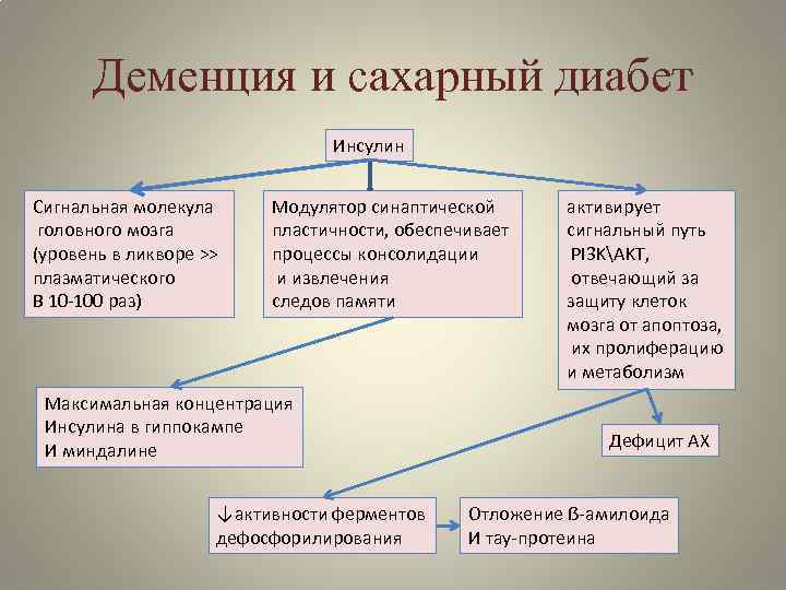 Деменция и сахарный диабет Инсулин Сигнальная молекула головного мозга (уровень в ликворе >> плазматического