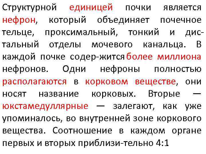 Структурной единицей почки является нефрон, который объединяет почечное тельце, проксимальный, тонкий и дис тальный