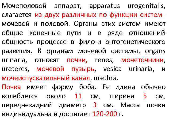 Мочеполовой аппарат, apparatus urogenitalis, слагается из двух различных по функции систем мочевой и половой.