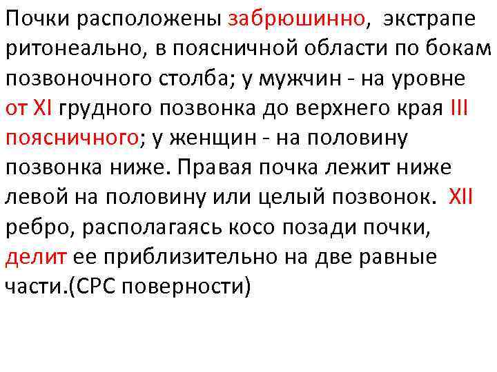 Почки расположены забрюшинно, экстрапе ритонеально, в поясничной области по бокам позвоночного столба; у мужчин