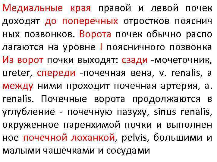 Медиальные края правой и левой почек доходят до поперечных отростков пояснич ных позвонков. Ворота