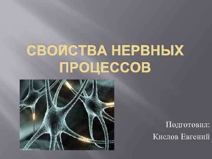 СВОЙСТВА НЕРВНЫХ ПРОЦЕССОВ Подготовил: Кислов Евгений 