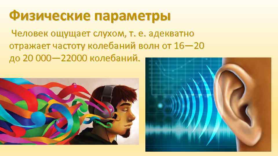 Физические параметры Человек ощущает слухом, т. е. адекватно отражает частоту колебаний волн от 16—