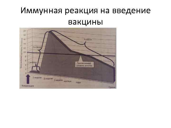 Иммунная реакция на введение вакцины 