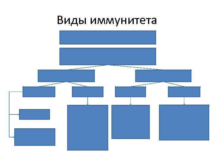 Виды иммунитета 