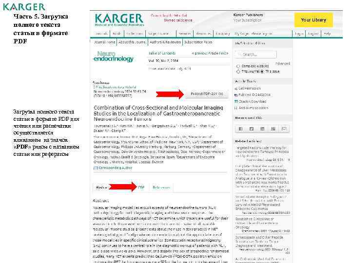 Часть 5. Загрузка полного текста статьи в формате PDF для чтения или распечатки осуществляется